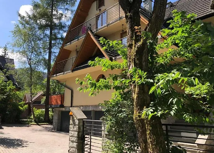 Visitzakopane - Mountain Dream * 자코파네